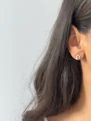 14K Altın Kaplama  Yıldız Küpe 1